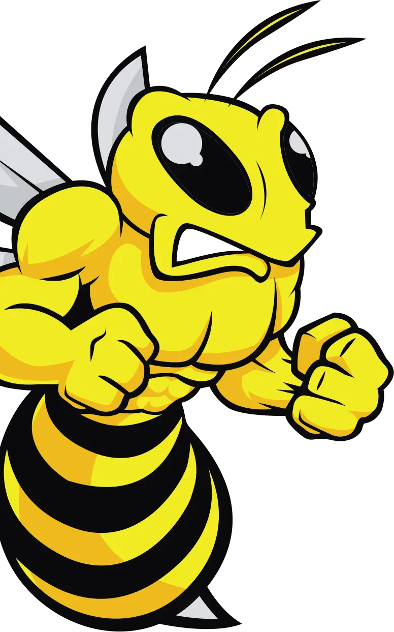 תמונה ראשית